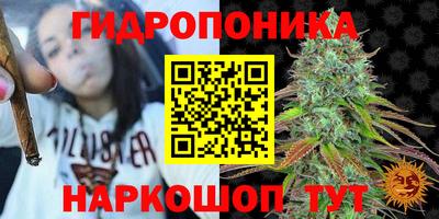 mdpv Ярославль