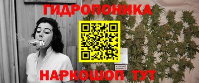 mdpv Ярославль