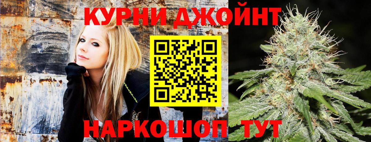 Конопля план  Вход с VPN  Бошки марихуана конопля  МАРИХУАНА Amnesia  МАРИХУАНА сатива  Белгород 